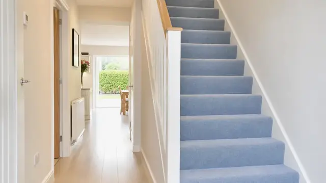 Carpet cleaning in Epsom